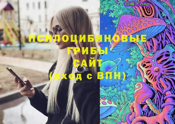 сатива Алексин