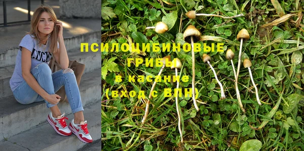 героин Алзамай