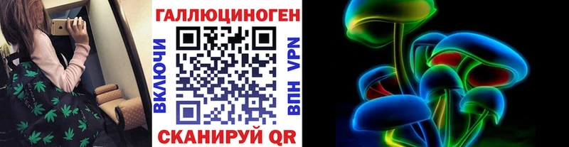 наркота  Ярцево  Псилоцибиновые грибы Psilocybine cubensis 